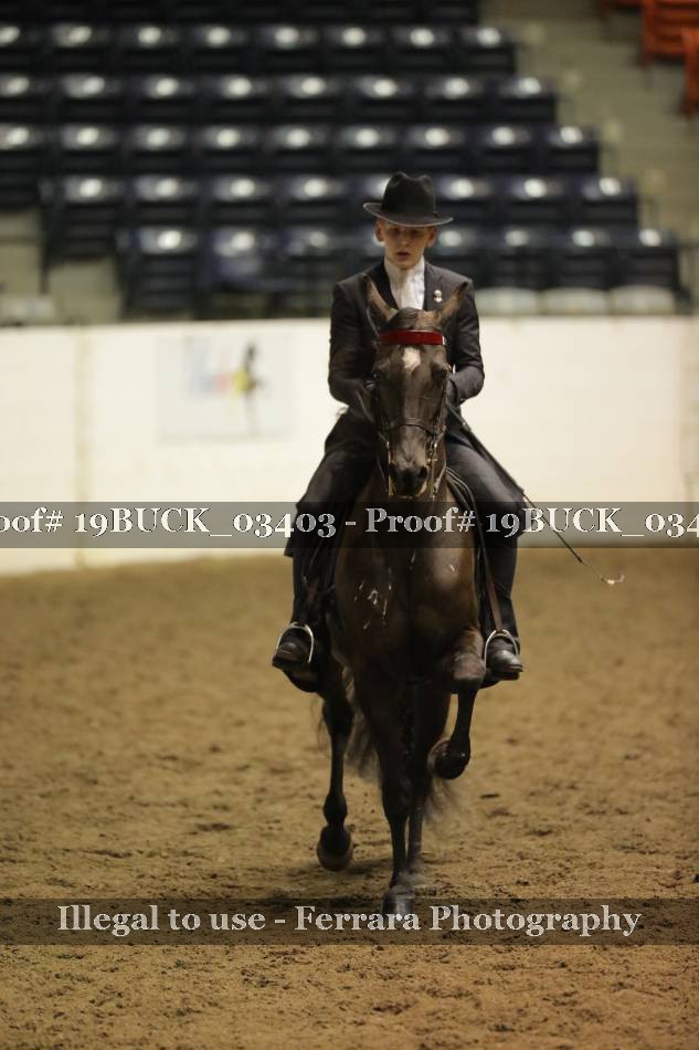 Proof 19BUCK_03403