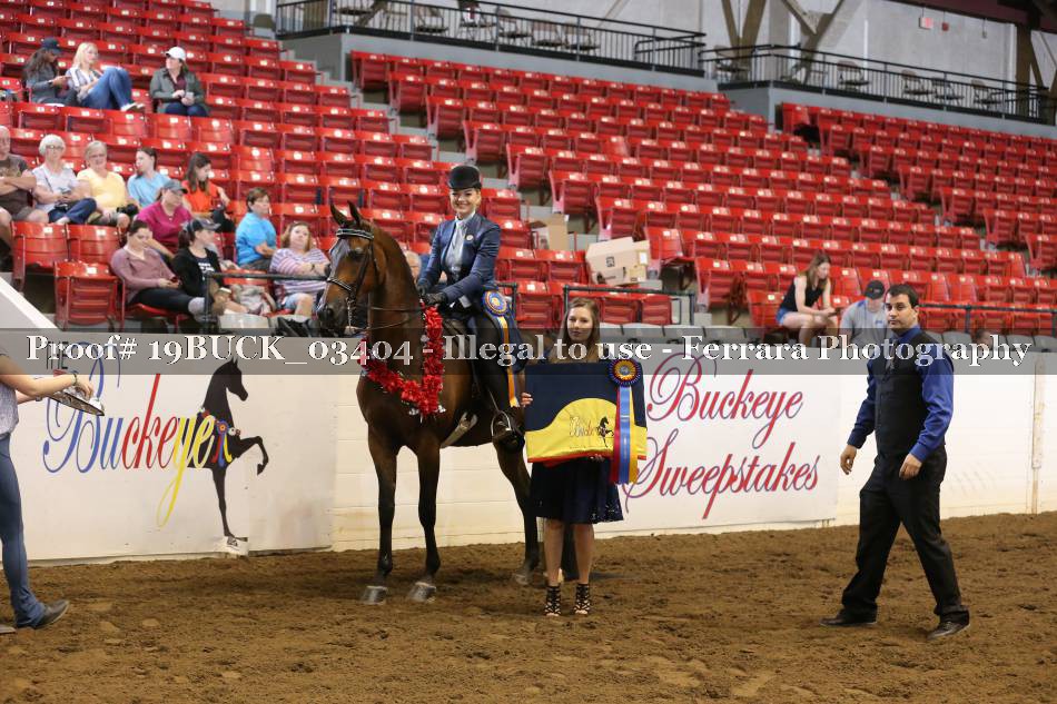 Proof 19BUCK_03404