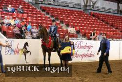 19BUCK_03404 proof