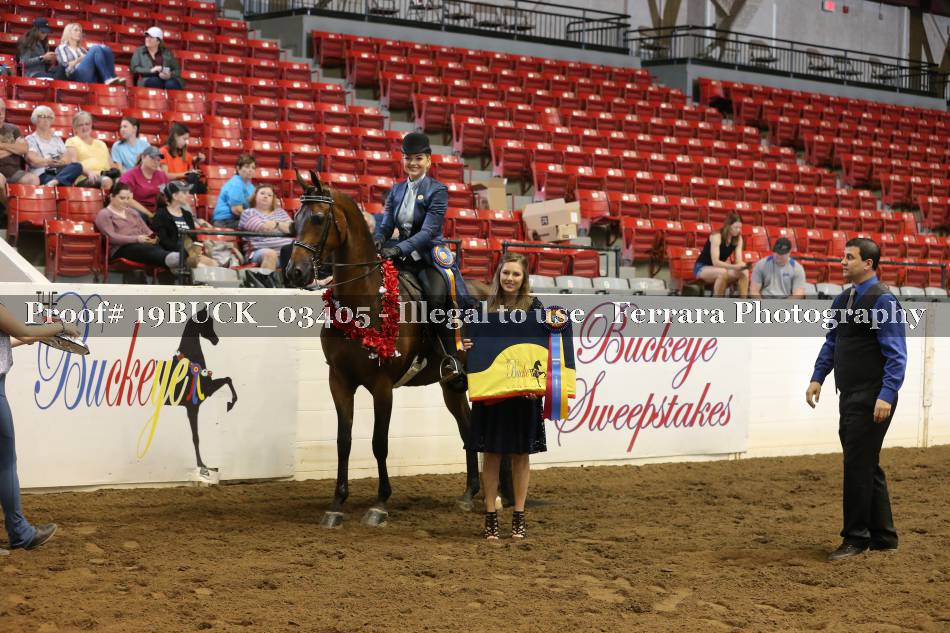 Proof 19BUCK_03405