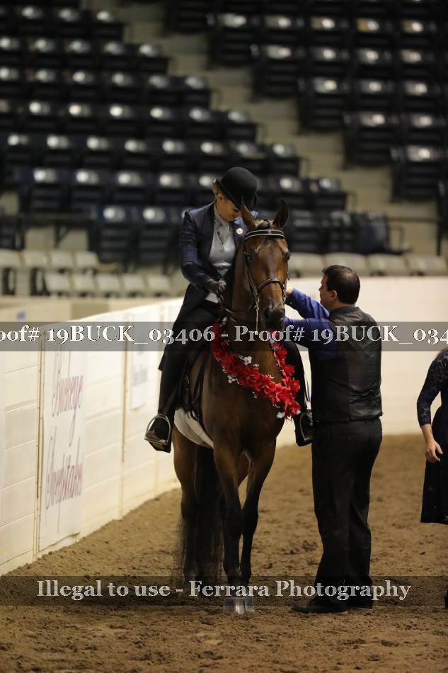 Proof 19BUCK_03406