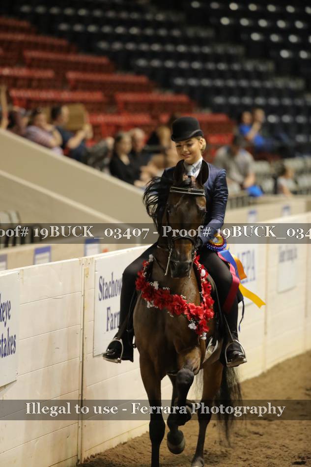 Proof 19BUCK_03407