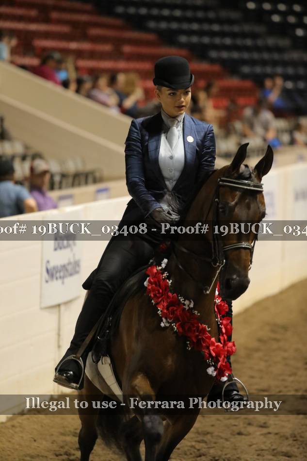 Proof 19BUCK_03408