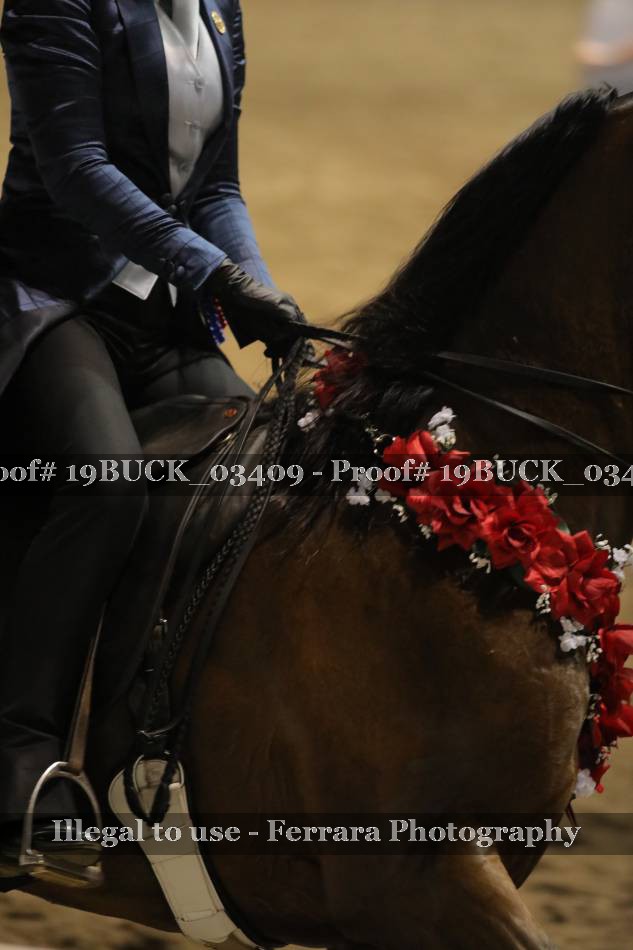 Proof 19BUCK_03409