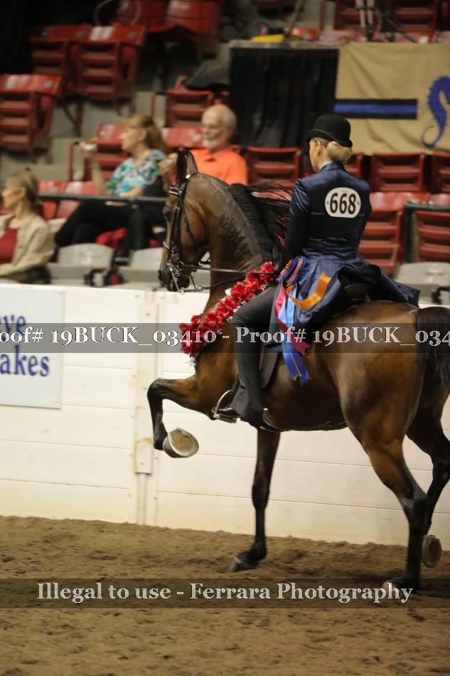 Proof 19BUCK_03410