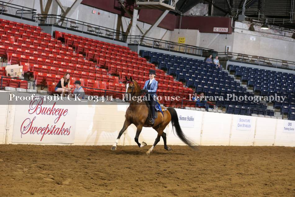 Proof 19BUCK_03411