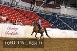 19BUCK_03411 proof