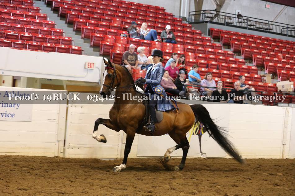 Proof 19BUCK_03412