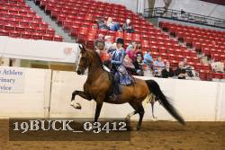 19BUCK_03412 proof