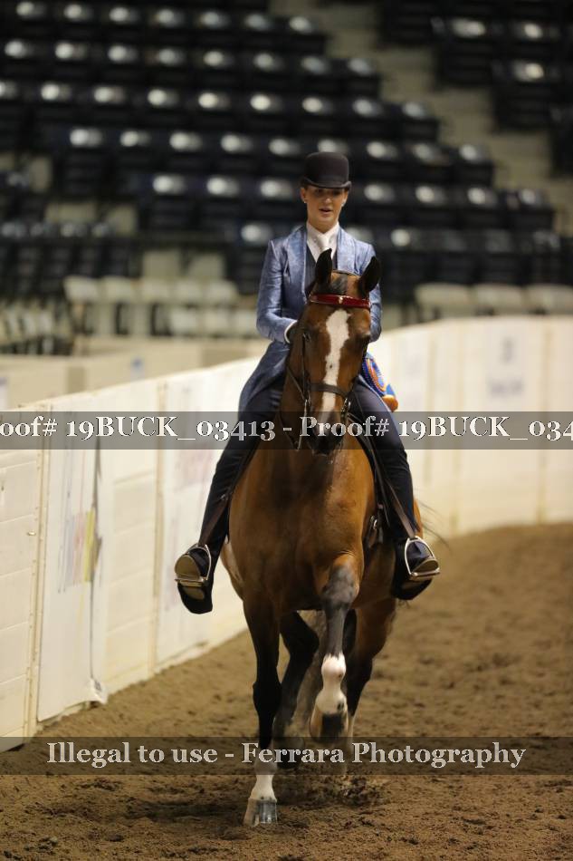 Proof 19BUCK_03413