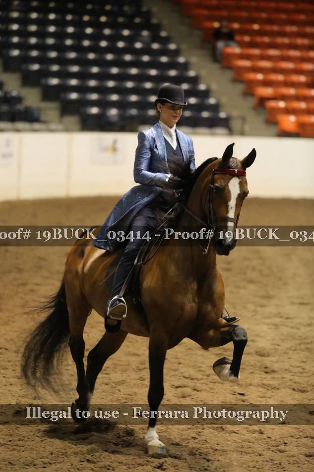 Proof 19BUCK_03414
