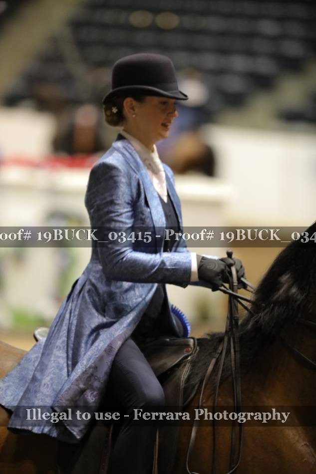Proof 19BUCK_03415