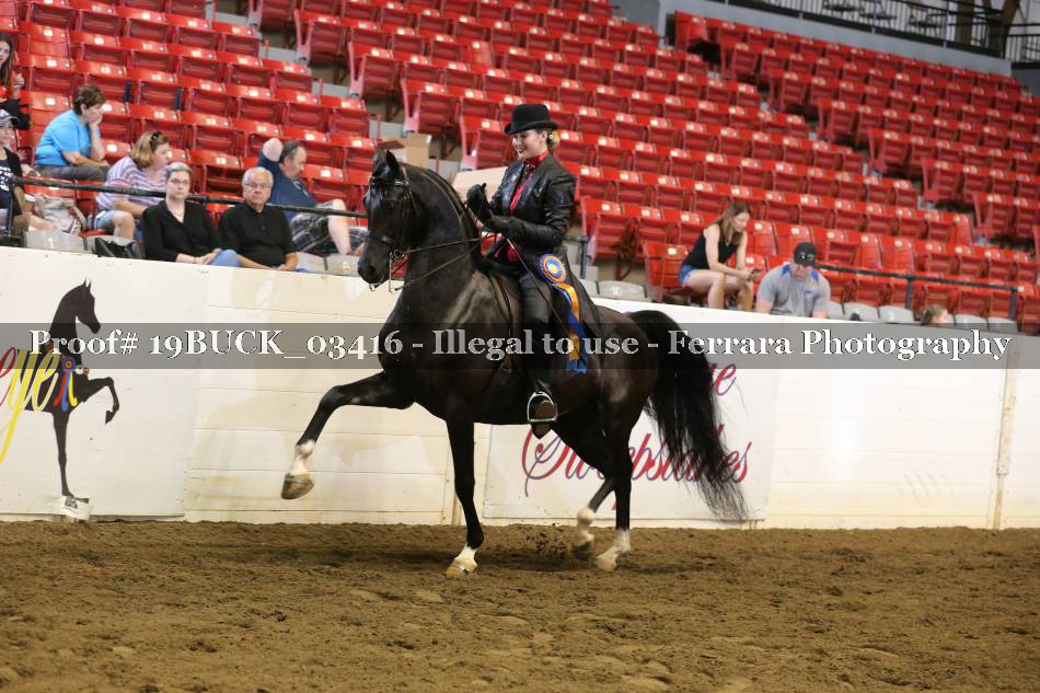 Proof 19BUCK_03416