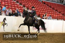 19BUCK_03416 proof