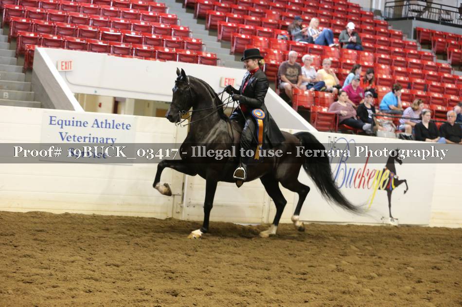 Proof 19BUCK_03417