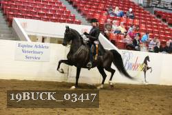 19BUCK_03417 proof