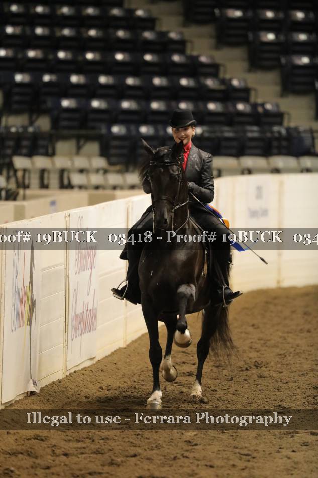 Proof 19BUCK_03418