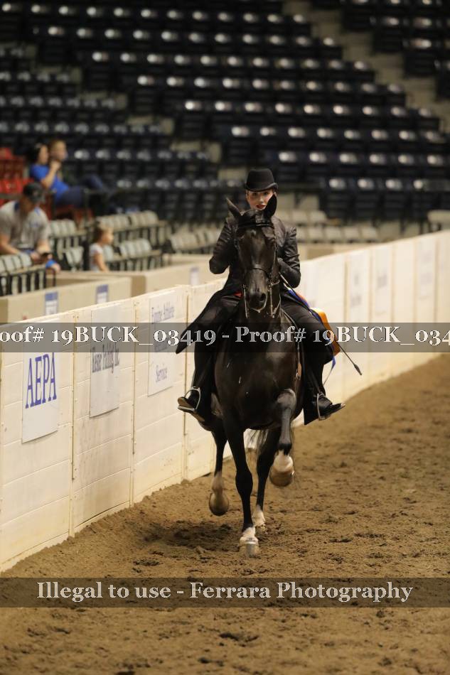Proof 19BUCK_03419