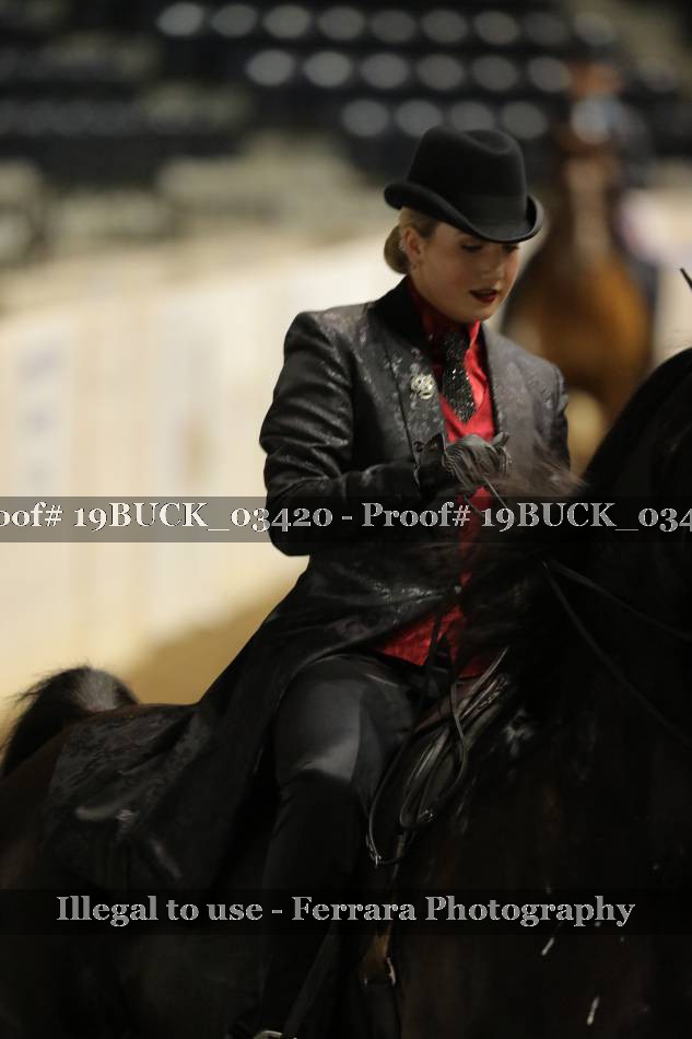 Proof 19BUCK_03420