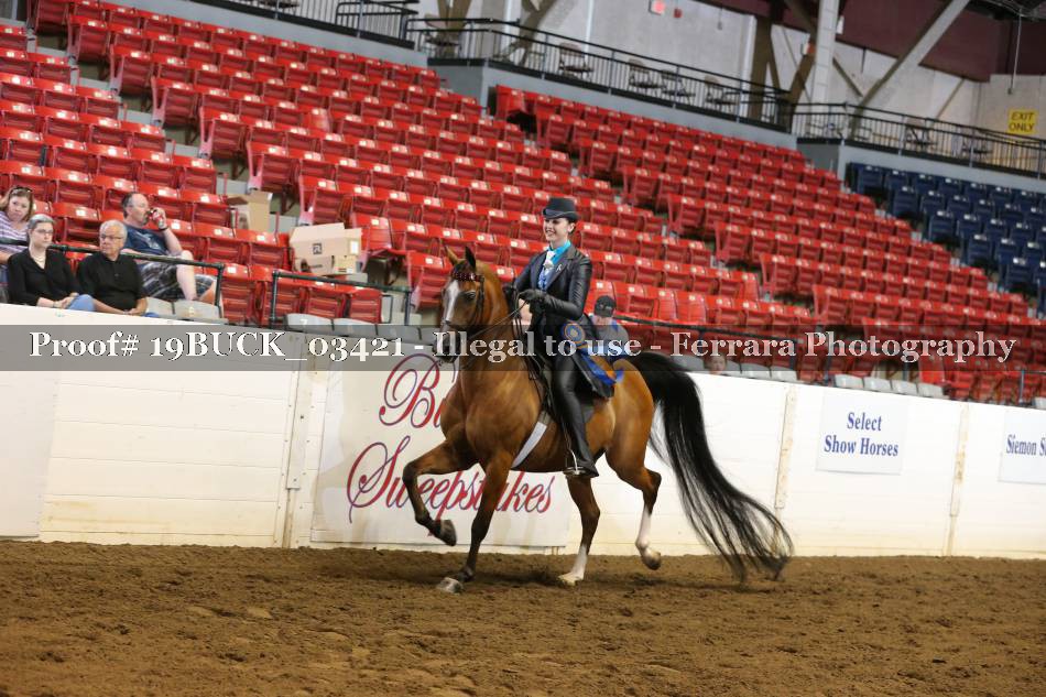 Proof 19BUCK_03421