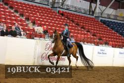 19BUCK_03421 proof