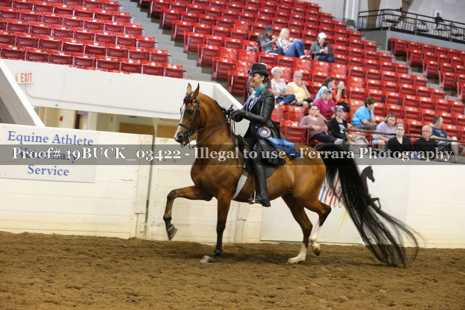 Proof 19BUCK_03422
