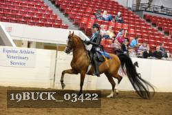 19BUCK_03422 proof