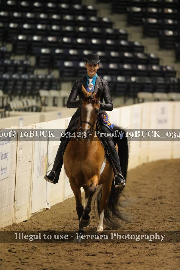 Proof 19BUCK_03423