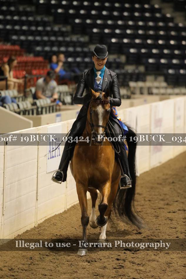 Proof 19BUCK_03424