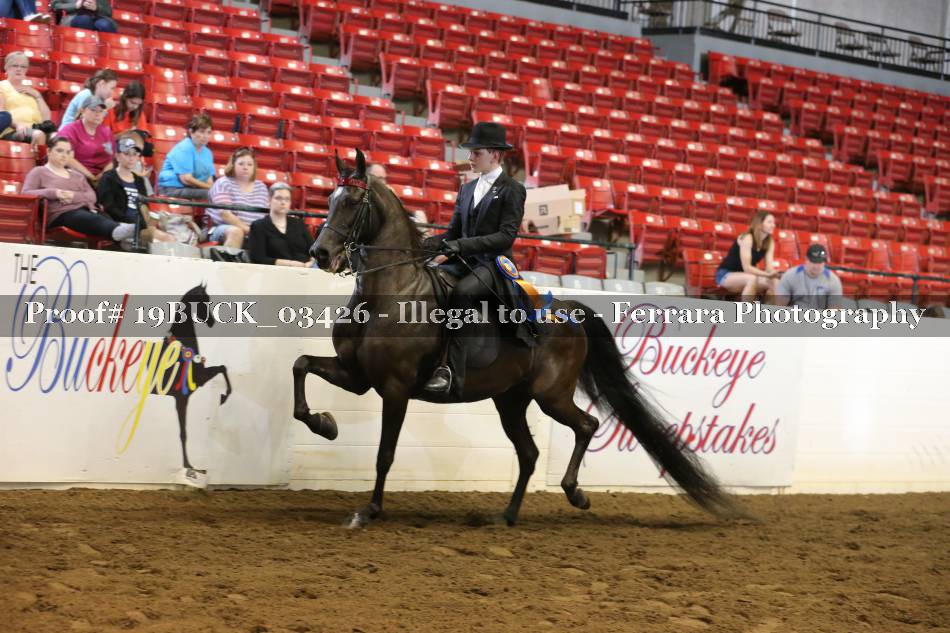 Proof 19BUCK_03426