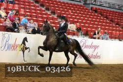 19BUCK_03426 proof