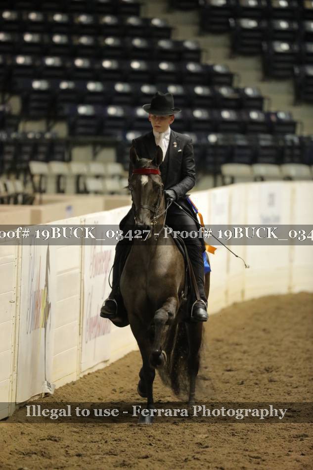 Proof 19BUCK_03427