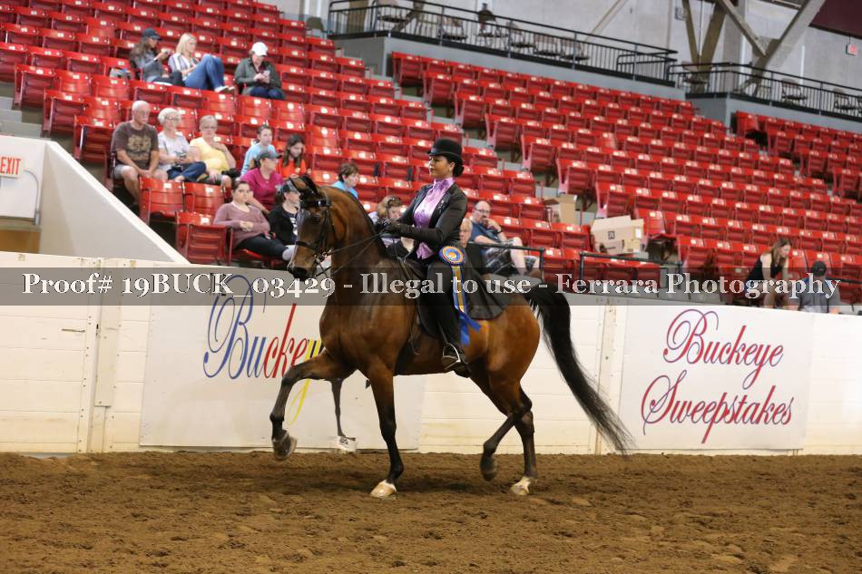 Proof 19BUCK_03429