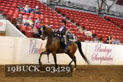 19BUCK_03429 proof