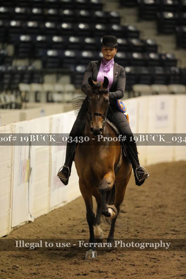 Proof 19BUCK_03430