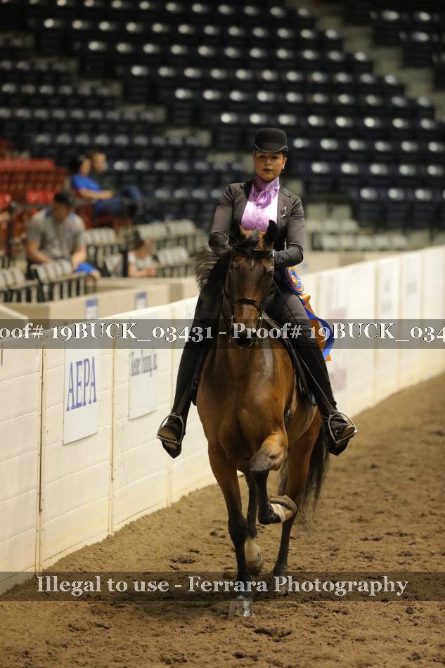 Proof 19BUCK_03431