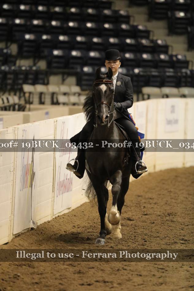 Proof 19BUCK_03432