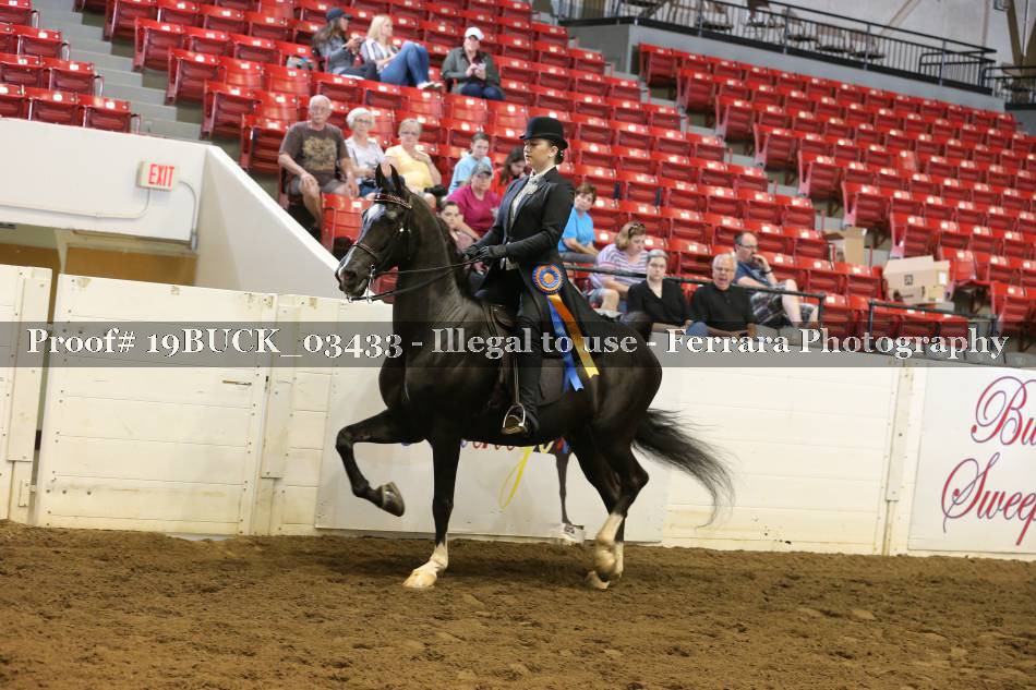 Proof 19BUCK_03433