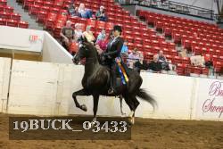 19BUCK_03433 proof