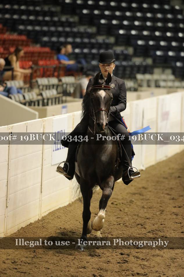 Proof 19BUCK_03434