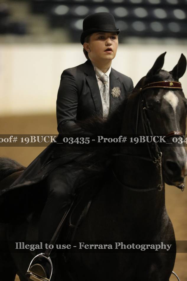 Proof 19BUCK_03435
