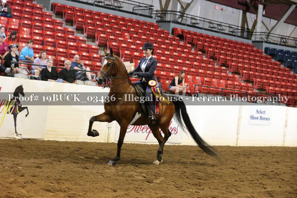 Proof 19BUCK_03436