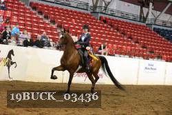 19BUCK_03436 proof