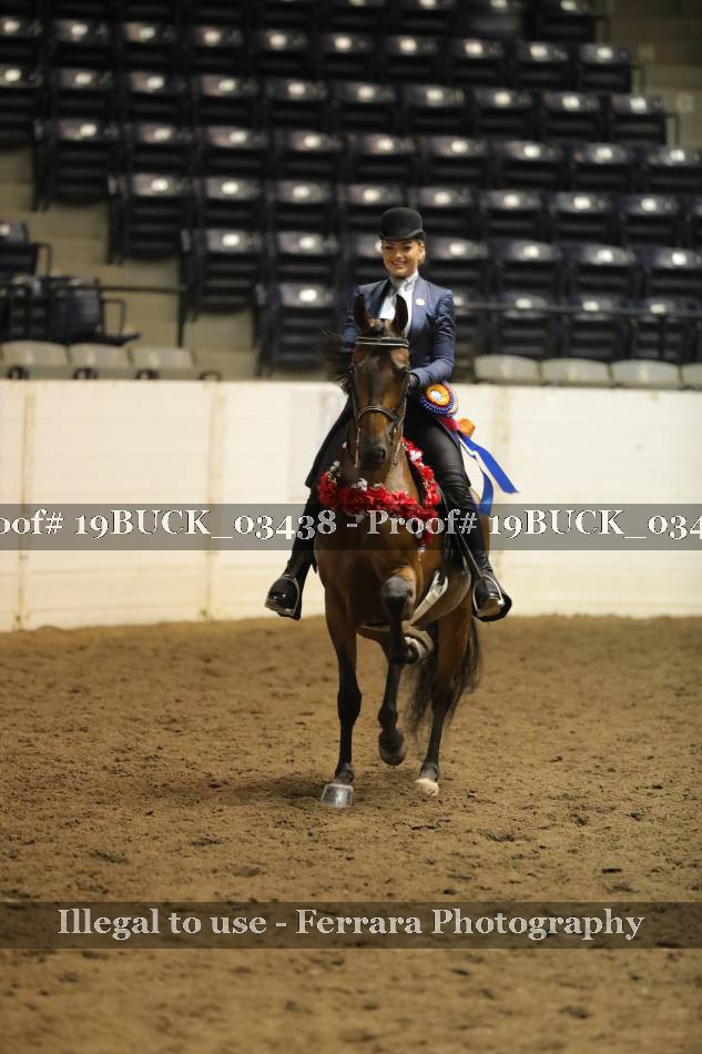 Proof 19BUCK_03438