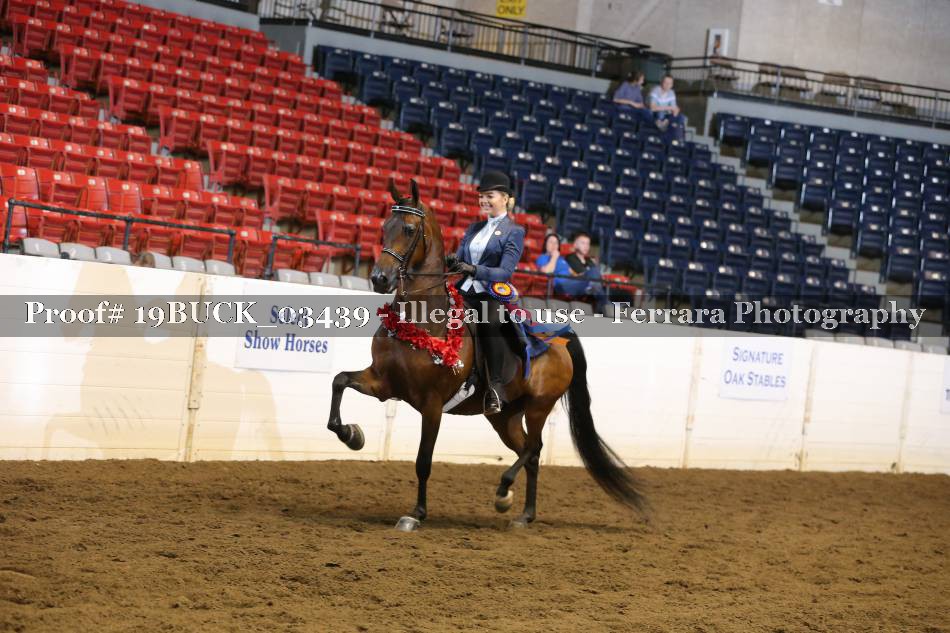 Proof 19BUCK_03439