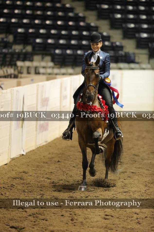 Proof 19BUCK_03440