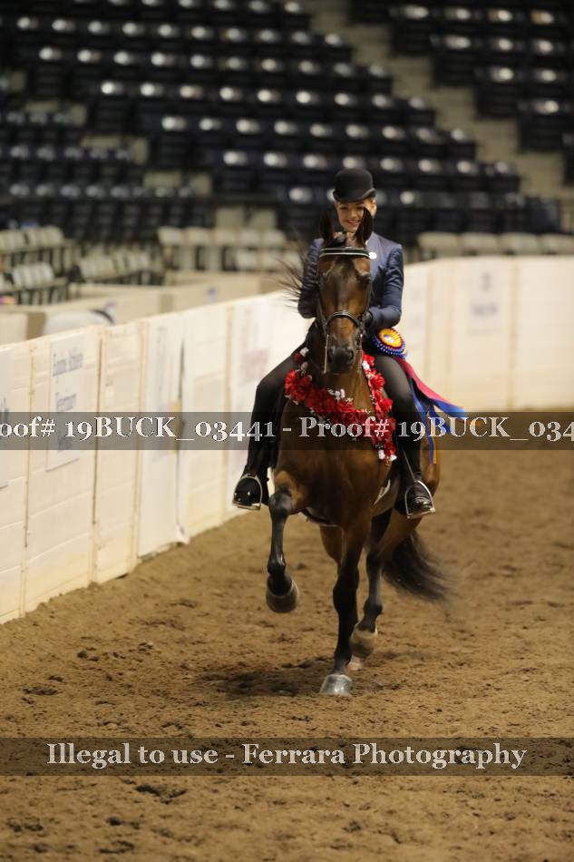 Proof 19BUCK_03441