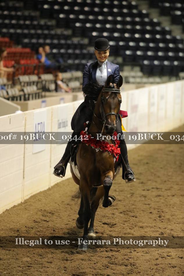Proof 19BUCK_03442