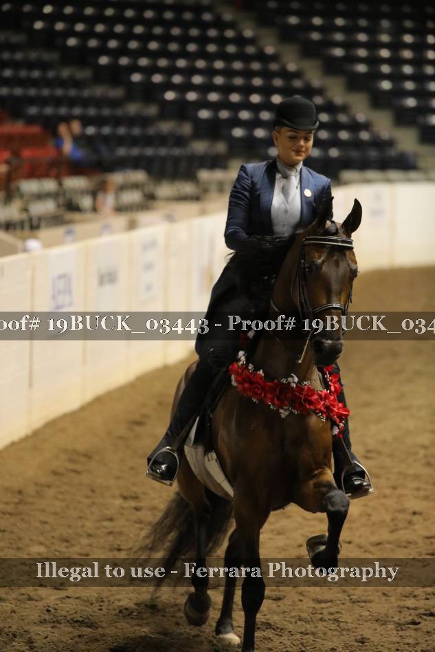 Proof 19BUCK_03443