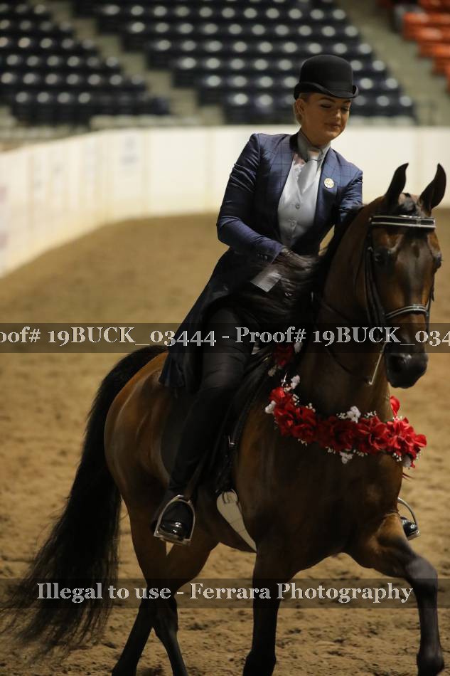 Proof 19BUCK_03444